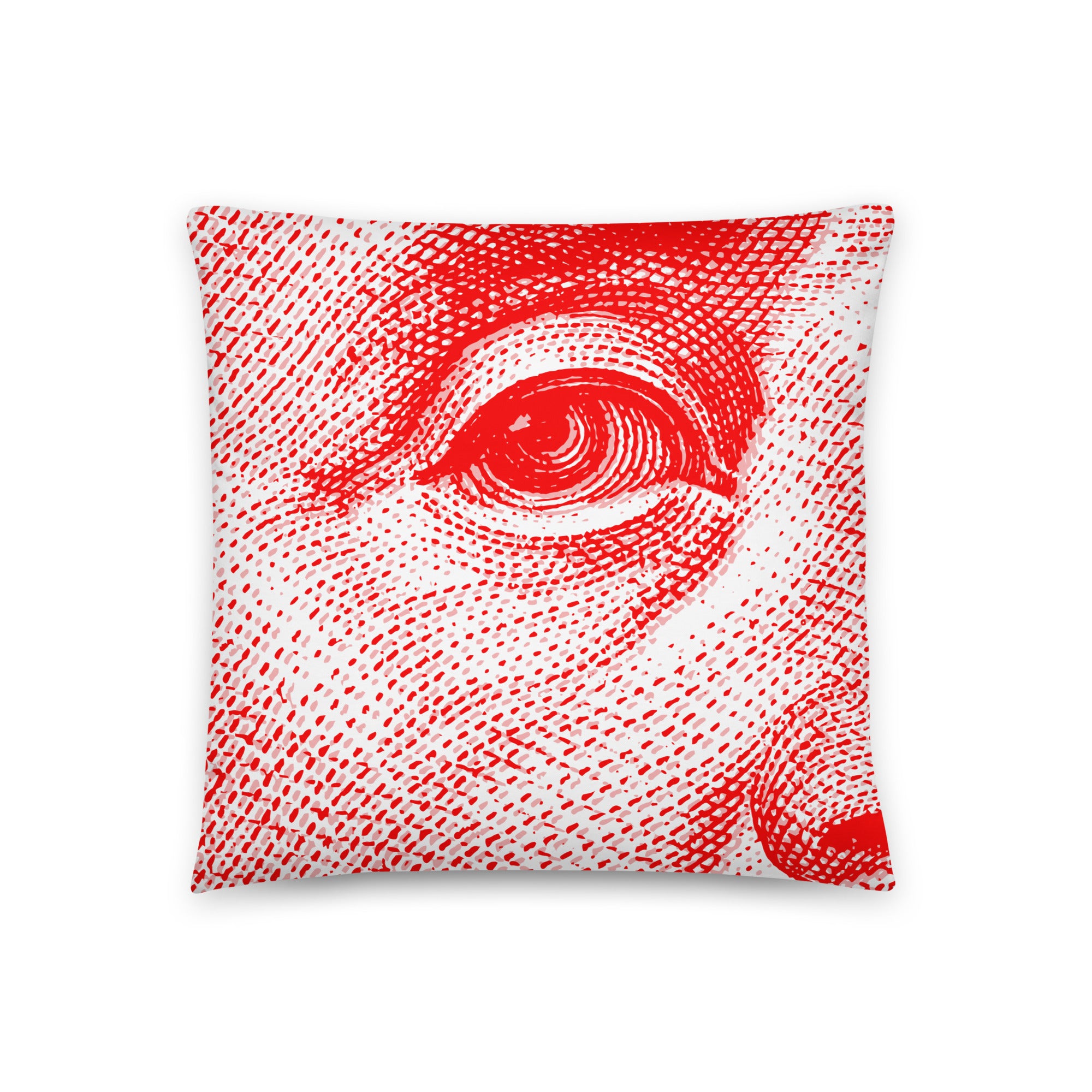 Red Money Pillow