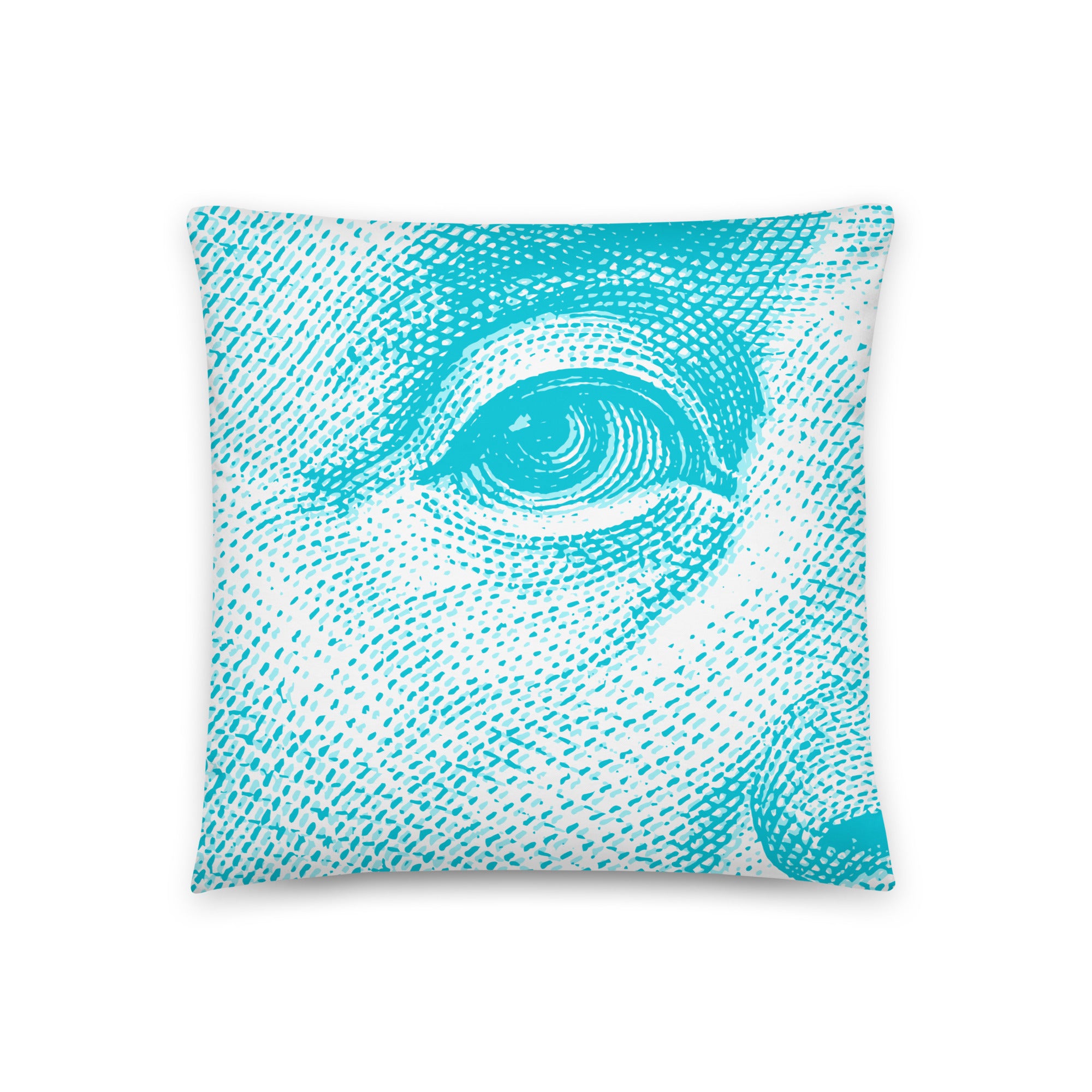 Blue Money Pillow