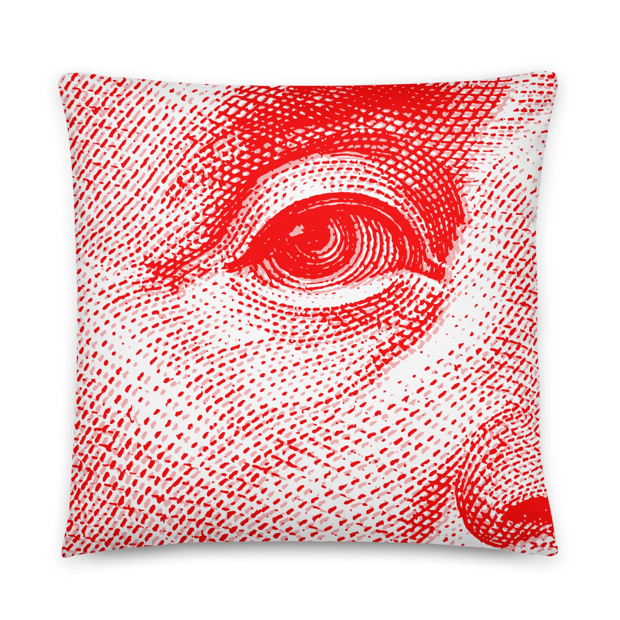 Red Money Pillow