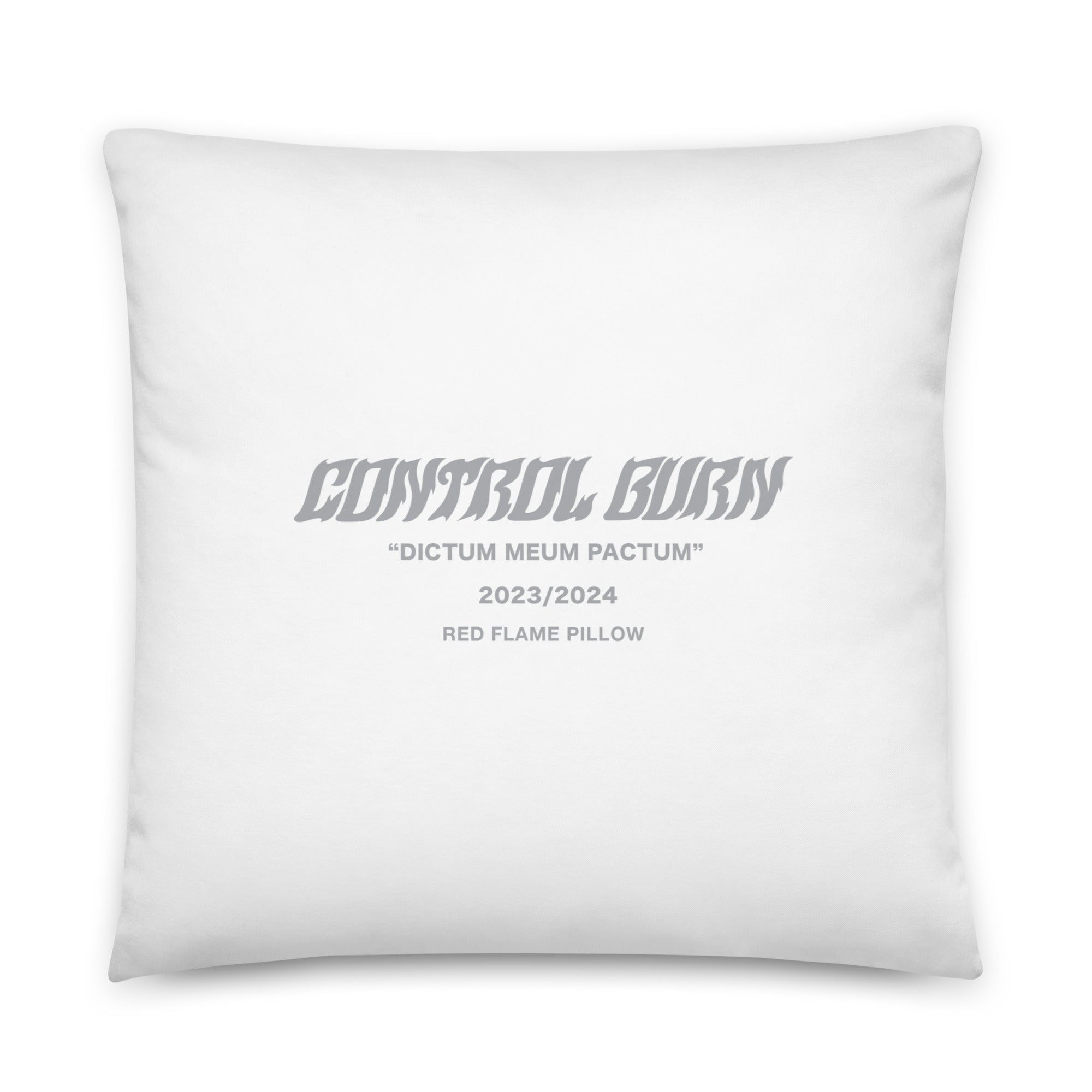 Red Flame Pillow