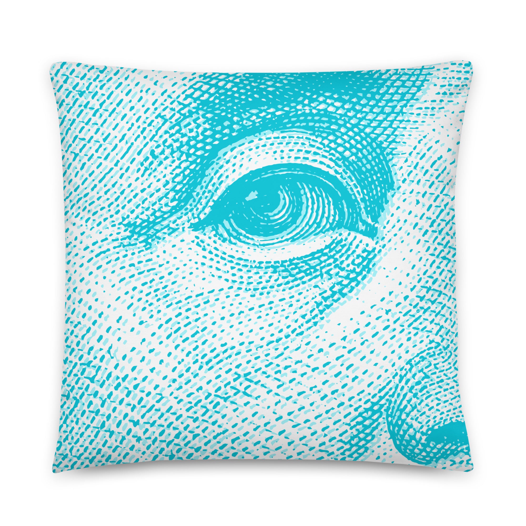 Blue Money Pillow